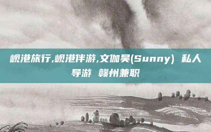 安康岘港旅行,岘港伴游,文伽昊(Sunny) 私人导游 赣州兼职