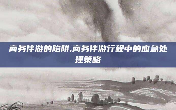 安康商务伴游的陷阱,商务伴游行程中的应急处理策略